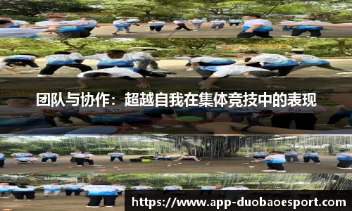 DB电竞官方网站