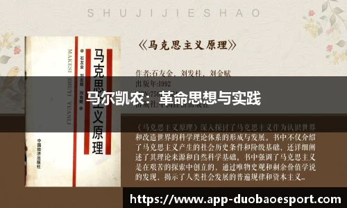 DB电竞官方正版网站